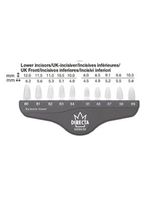 |روکش پلی کربنات آکریلی دندان اوپک تک سایز LOWER INCISORS بسته 5 عددی برند Directa