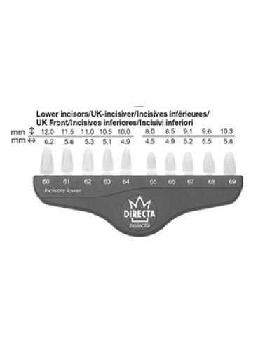 |روکش پلی کربنات آکریلی دندان اوپک تک سایز LOWER INCISORS بسته 5 عددی برند Directa