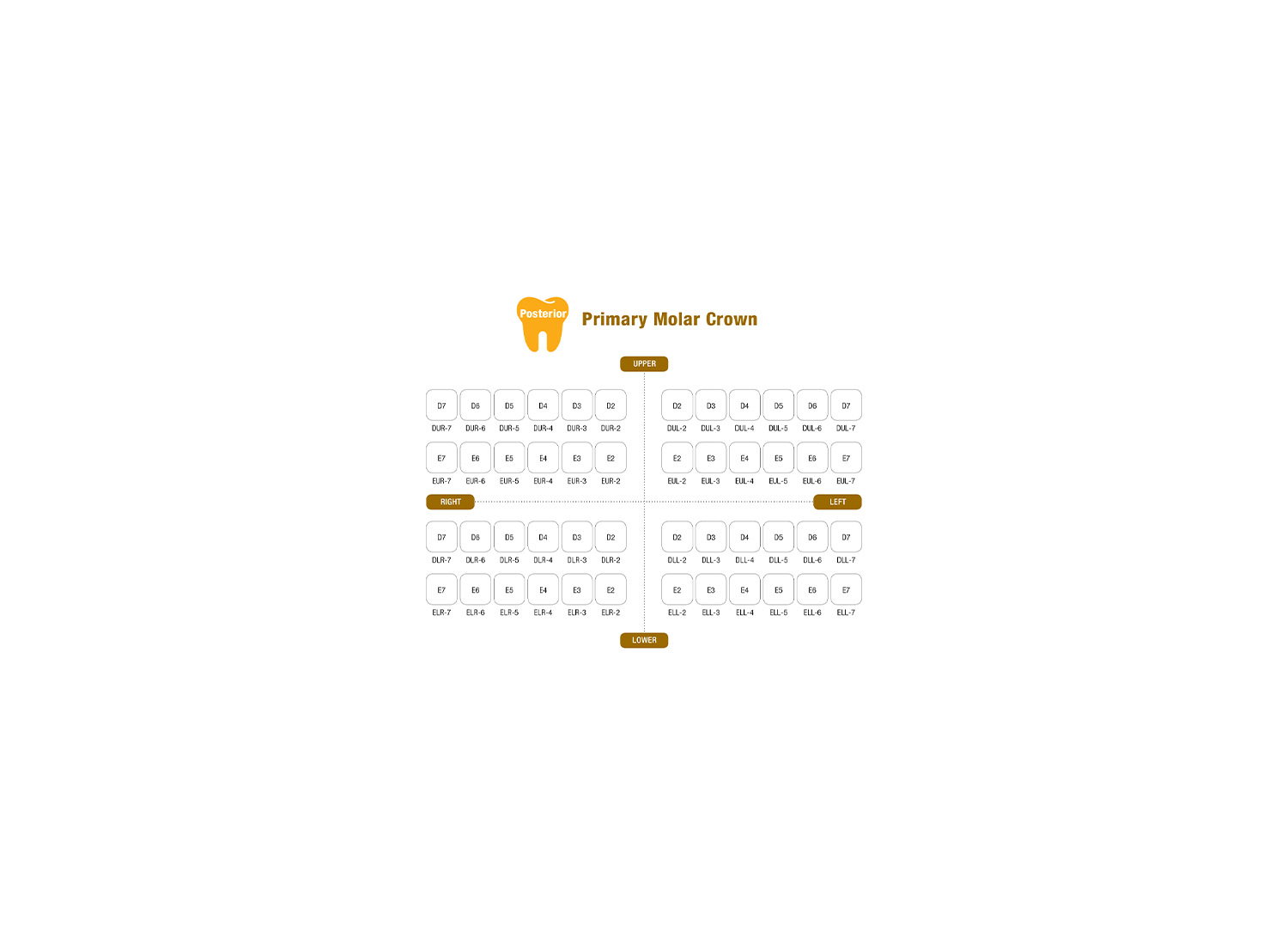روکش دندان شیری سایز E کودکان I Crown برند Seil Global